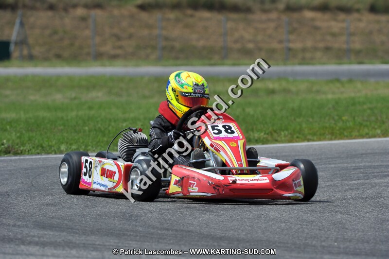DSC_ (370).jpg